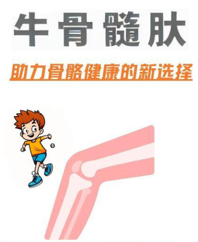 牛骨髓肽与促进运动人群骨骼疲劳的恢复作用