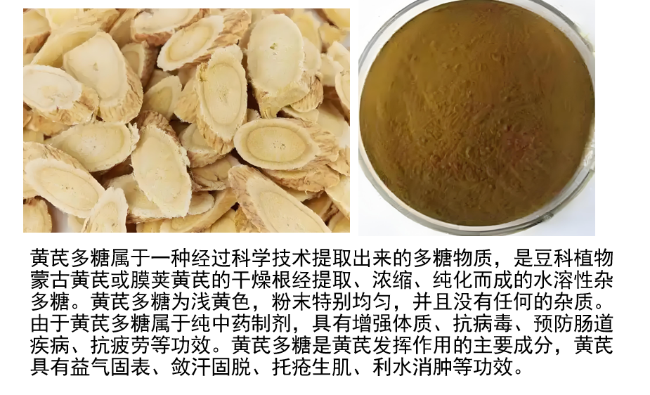 黄芪多糖调节血糖效果如何,黄芪多糖降血糖机制.