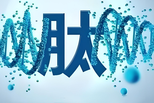 活性肽修复细胞对自身免疫性疾病的应用功能