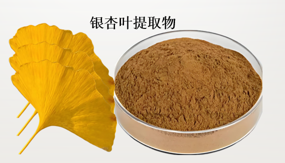 纳豆银杏叶提取物胶囊对血管有作用吗,纳豆银杏叶提取物胶囊能降血压吗?