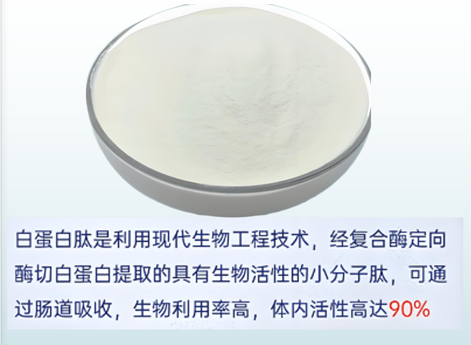 白蛋白肽对肠胃好吗,白蛋白肽能修复胃黏膜吗？