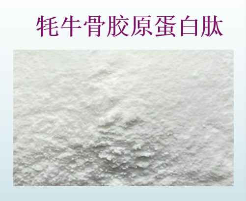 牦牛骨胶原蛋白肽对糖尿病有作用,牦牛骨胶原蛋白肽可以降血糖吗？