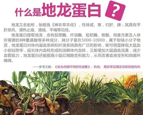 地龙蛋白肽能降血糖吗,地龙蛋白肽能长期吃吗?