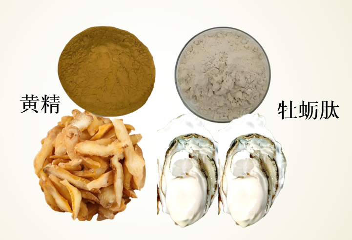 黄精牡蛎肽对男人有什么作用,黄精牡蛎肽效果怎么样?
