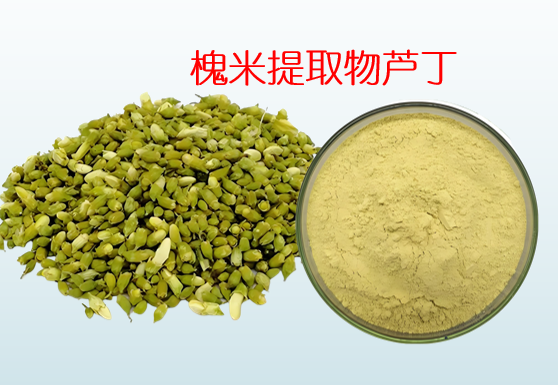 槐米提取物芦丁对血管的好处,槐米提取物芦丁能调节三高吗？