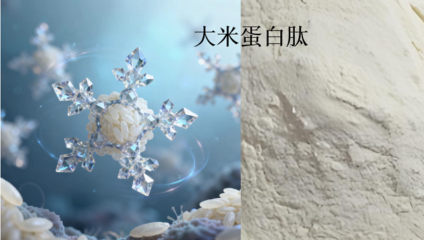 大米蛋白肽对三高的好处吗大米蛋白肽适合三高人群吃吗？