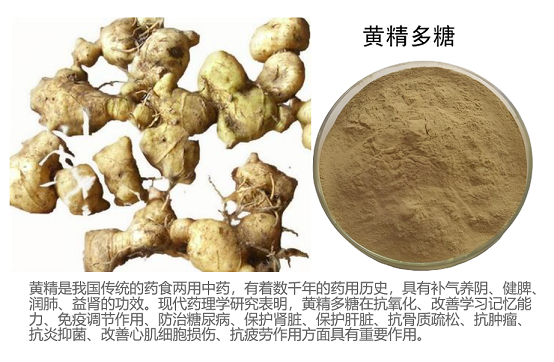 黄精能降血糖血脂吗,效果怎么样