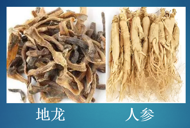 人参地龙蛋白肽真能降血脂吗,人参地龙蛋白肽对高血脂人群有作用吗？
