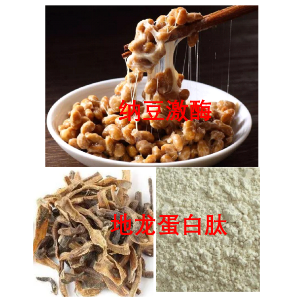 纳豆地龙蛋白肽与辅助调理脑供学不足的机制