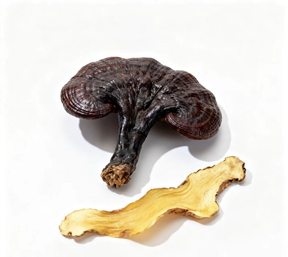 灵芝黄精复合多糖与改善脑力,灵芝黄精复合多糖能提高记忆力吗?