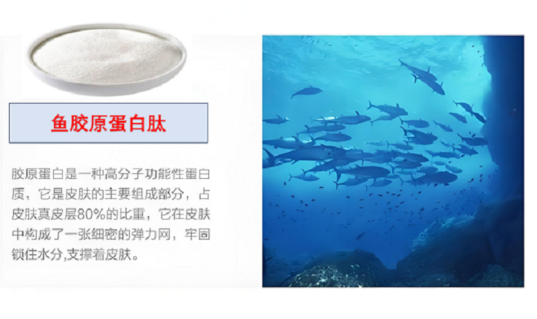 鱼胶原蛋白肽对术后恢复有作用吗,应用效果怎么样？